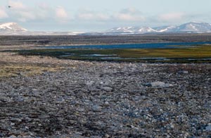 Flat landscape north on Bjørnøya