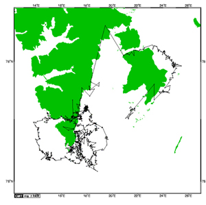 Satellittdata fra en isbjørnbinne sommeren 2005