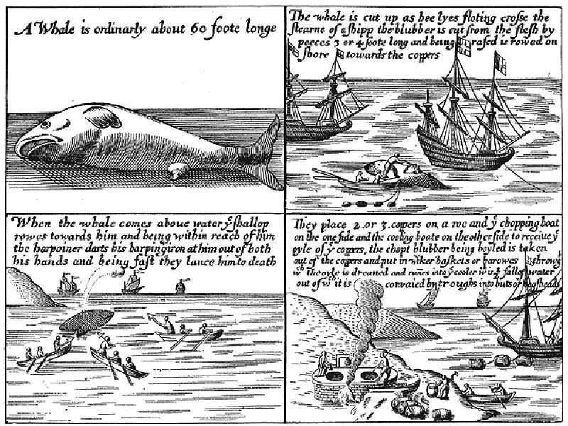Early 1600s illustration of whaling