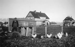 Hønsegården i Ny-Ålesund fotografert i 1939