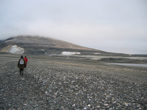 Landskap på vestsida av Duvefjorden