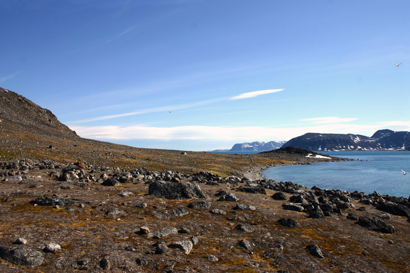 Utsikt fra Ytre Norskøye østover mot gravene, med sundet og Biscayarhuken i bakgrunnen