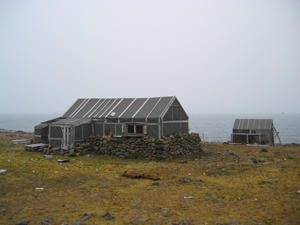 Bjørneborg på Halvmåneøya