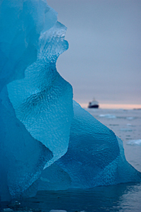 Iceberg and cruise vessel